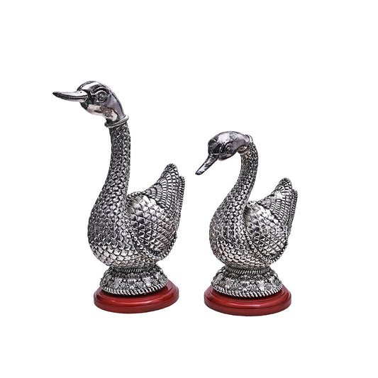 Silver Swan Pair
