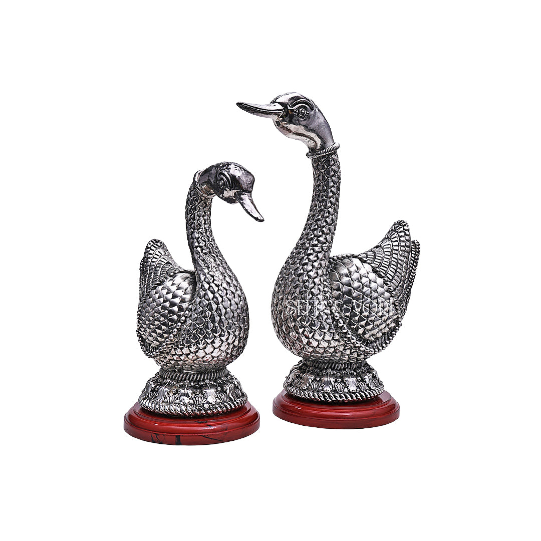 Silver Swan Pair