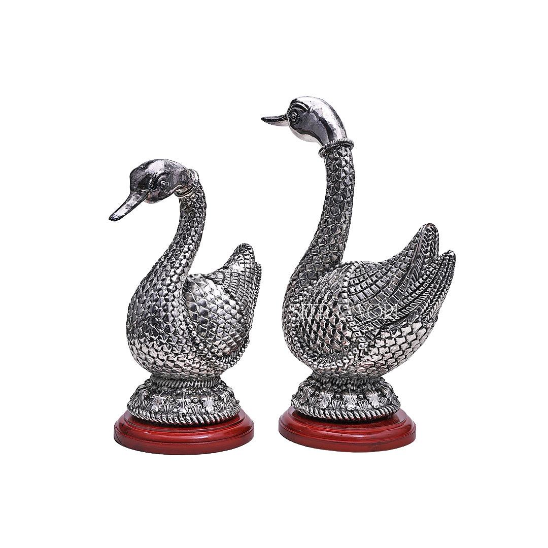 Silver Swan Pair
