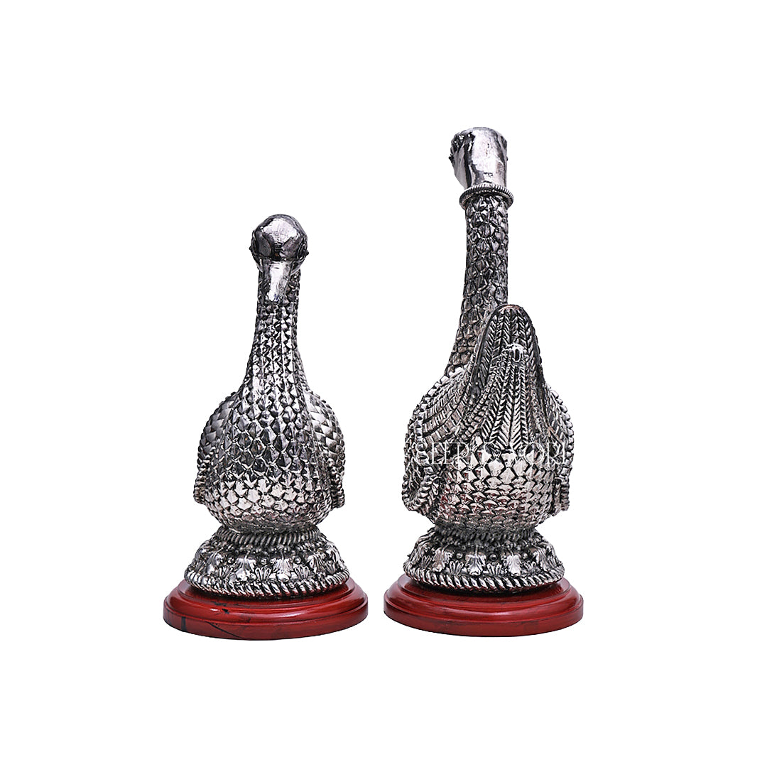 Silver Swan Pair