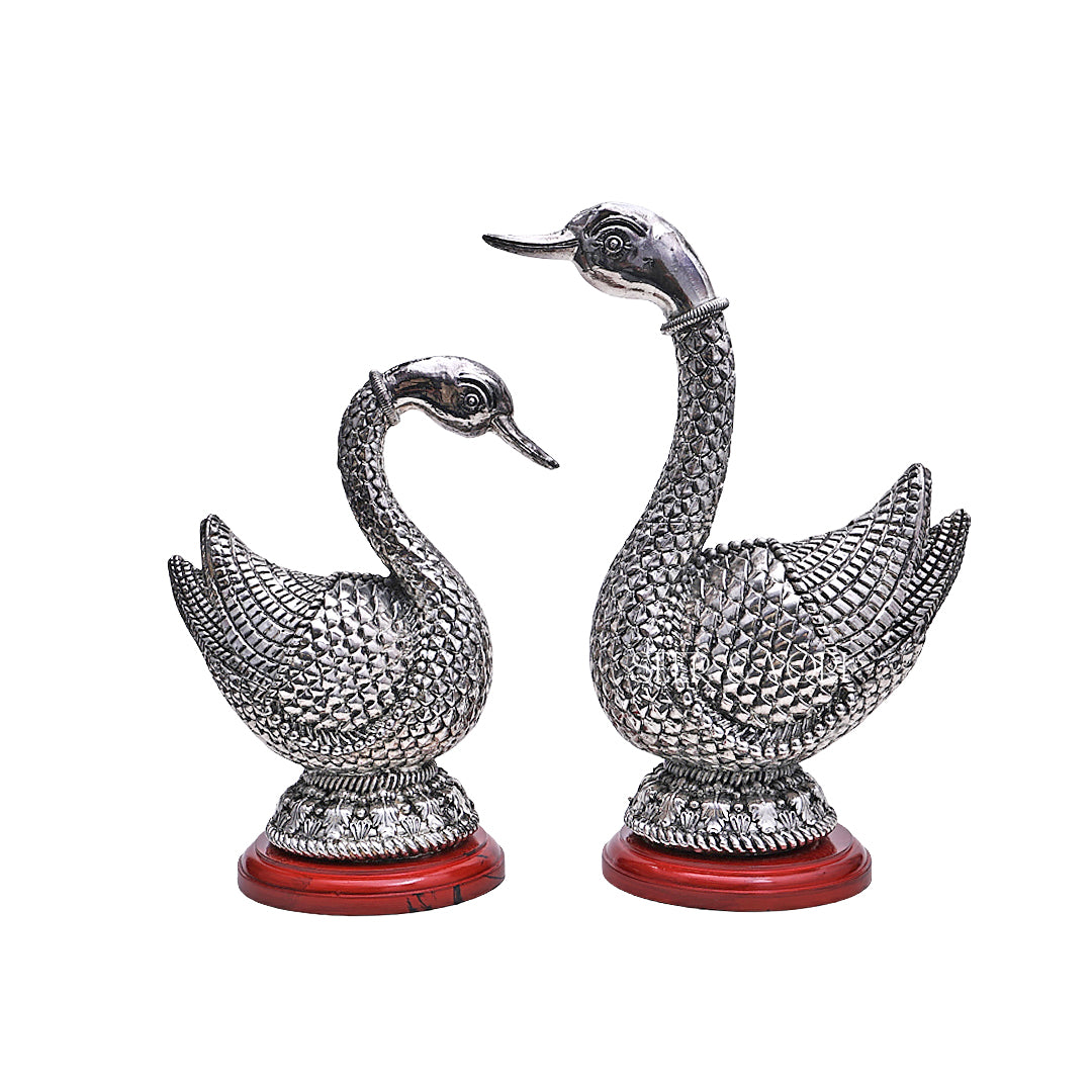 Silver Swan Pair