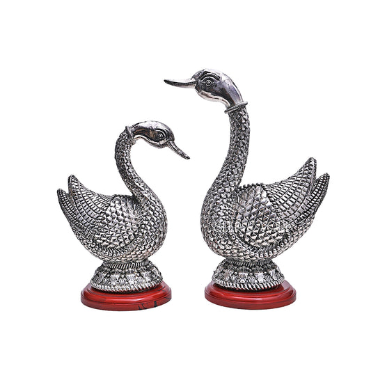 Silver Swan Pair
